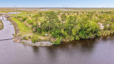 Set along 5+ pristine acres on the storied St. Lucie River, this - photo 1