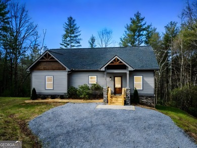 Hiwassee River - Cherokee County Home For Sale in Murphy North Carolina