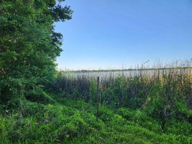 Two adjoining waterfront parcels on Lake Mann (skiable) with - photo 11