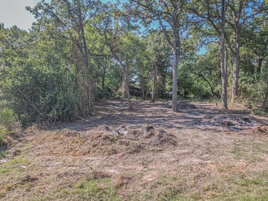Cleared, Tree-Covered Lot Near Cedar Creek Lake - Ready for Your - photo 12