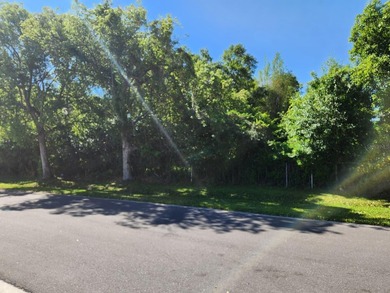 Two adjoining waterfront parcels on Lake Mann (skiable) with - photo 15