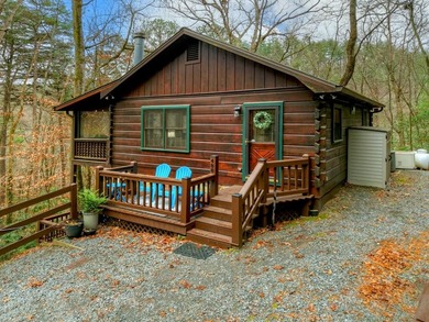Cherry Log Lake Home For Sale in Blue Ridge Georgia