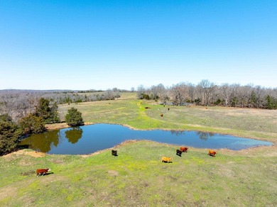 934 +/- Acre Working Cattle Ranch in Baxter County, Arkansas - photo 1