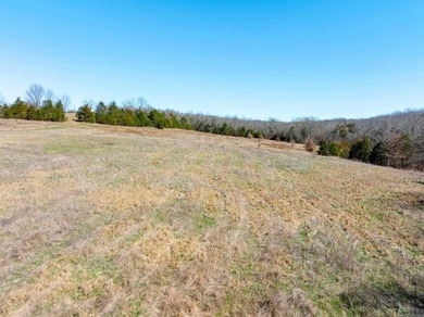 934 +/- Acre Working Cattle Ranch in Baxter County, Arkansas - photo 6
