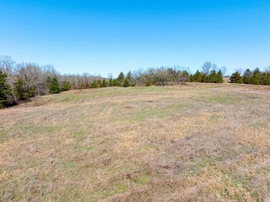 934 +/- Acre Working Cattle Ranch in Baxter County, Arkansas - photo 7