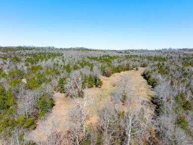 934 +/- Acre Working Cattle Ranch in Baxter County, Arkansas - photo 9