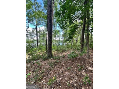 Rock Cabin Lake Lot For Sale in Newnan Georgia