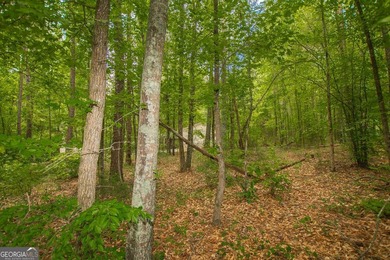 Welcome home to 4321 Highway 186! This adorable 4 bedroom/2 - photo 32