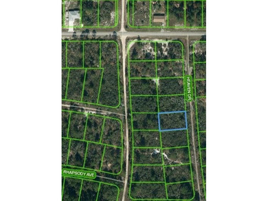 Lake Grassy Lot For Sale in Lake Placid Florida