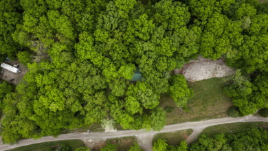Lot With Dock In Myrtle Cove SOLD - photo 4
