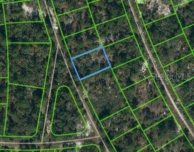 Lake Grassy Lot For Sale in Lake Placid Florida