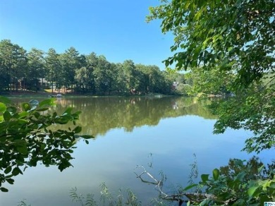 Lake Acreage For Sale in Trussville, Alabama