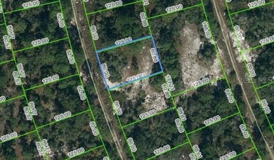 Lake Grassy Lot For Sale in Lake Placid Florida