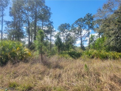 Lehigh Acres Area Lot For Sale in Lehigh Acres Florida