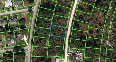 Lake Grassy Lot For Sale in Lake Placid Florida