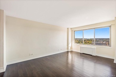 Luxury High Rise Bldg With an Unobstructed South East Water View - photo 12