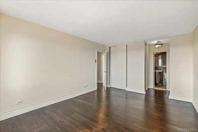 Luxury High Rise Bldg With an Unobstructed South East Water View - photo 13