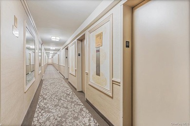 Luxury High Rise Bldg With an Unobstructed South East Water View - photo 18