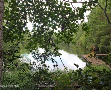 (private lake, pond, coastal) Lot For Sale in Shallotte North Carolina