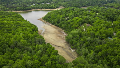 Lot With Dock In Myrtle Cove SOLD - photo 6