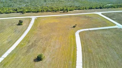 Double lot, cleared and build-ready. This is the space you've - photo 3