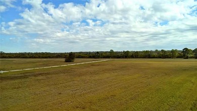 Double lot, cleared and build-ready. This is the space you've - photo 4