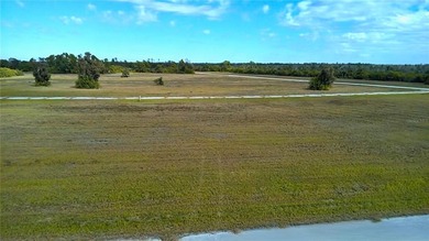 Double lot, cleared and build-ready. This is the space you've - photo 5