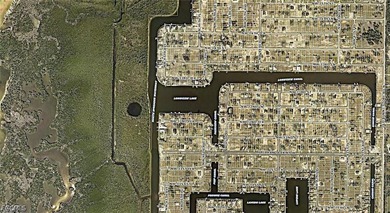 Your Dream Starts Here with a Prime Corner Lot in Cape Coral! - photo 3