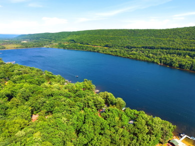 3 bedroom Lakefront Contemporary on Power-boating Lake! - photo 40