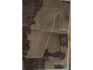 ?? Build Your Dream Near Weiss Lake! ?? Looking for the perfect - photo 1