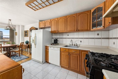Unit 6E at the Forest Hills is now on the market! A junior four - photo 4
