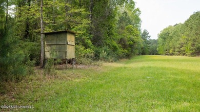 Welcome to Paradise Whitetails, a premier recreational and - photo 17