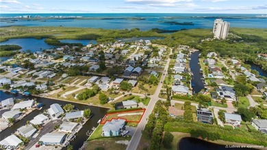 Rare Waterfront Opportunity in Bonita Springs! Build your dream - photo 6