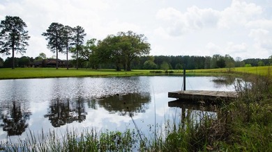 Welcome to Paradise Whitetails, a premier recreational and - photo 29