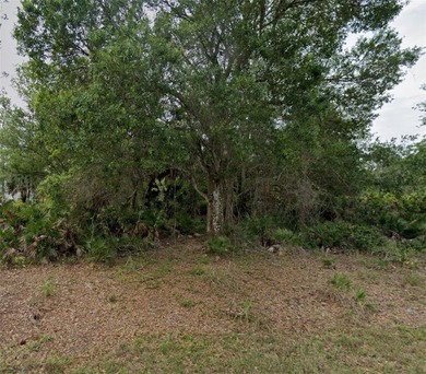 Port Charlotte Waterway Area Lot For Sale in Punta Gorda Florida