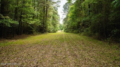 Welcome to Paradise Whitetails, a premier recreational and - photo 43