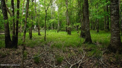 Welcome to Paradise Whitetails, a premier recreational and - photo 45