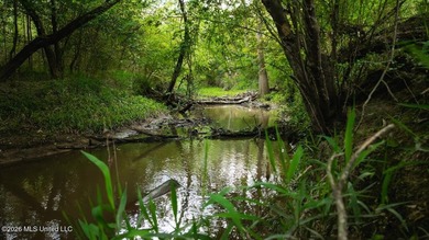Welcome to Paradise Whitetails, a premier recreational and - photo 46