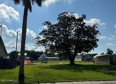 BUILDABLE LOT CLOSE TO BEACH AND GULF . PRICE IS - photo 1