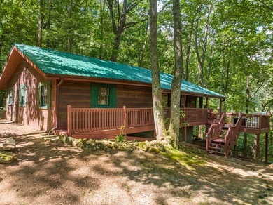 Beautiful North Georgia cabin with 3 bedrooms, two bathrooms - photo 3