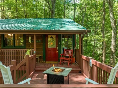 Beautiful North Georgia cabin with 3 bedrooms, two bathrooms - photo 8