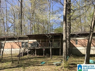 Warrior River Home For Sale in Cordova Alabama
