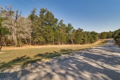Discover the unparalleled beauty and tranquility of lakefront - photo 11
