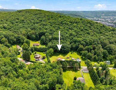 Welcome to 313 Naylor Road, a captivating 1.5-story residence - photo 48