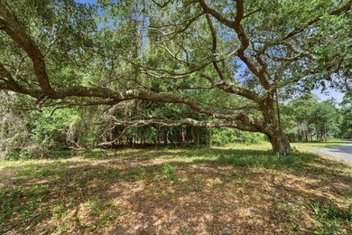 This private, wooded 0.80-acre homesite offers an outstanding - photo 9