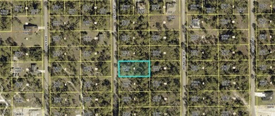 Lehigh Acres Area Lot For Sale in Lehigh Acres Florida