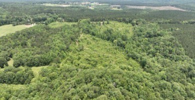 Lake Acreage For Sale in Eclectic, Alabama
