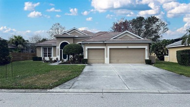 Lake Home For Sale in Osprey, Florida