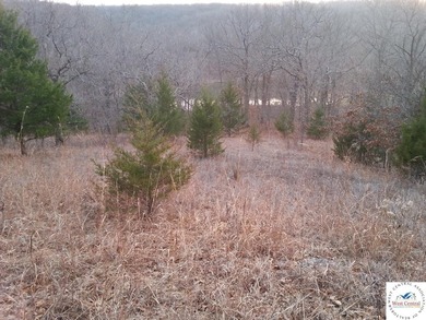 A wonderful and unique 6.3 acres of land with privacy and - photo 11