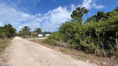 Discover the perfect place to build your dream island home on - photo 3